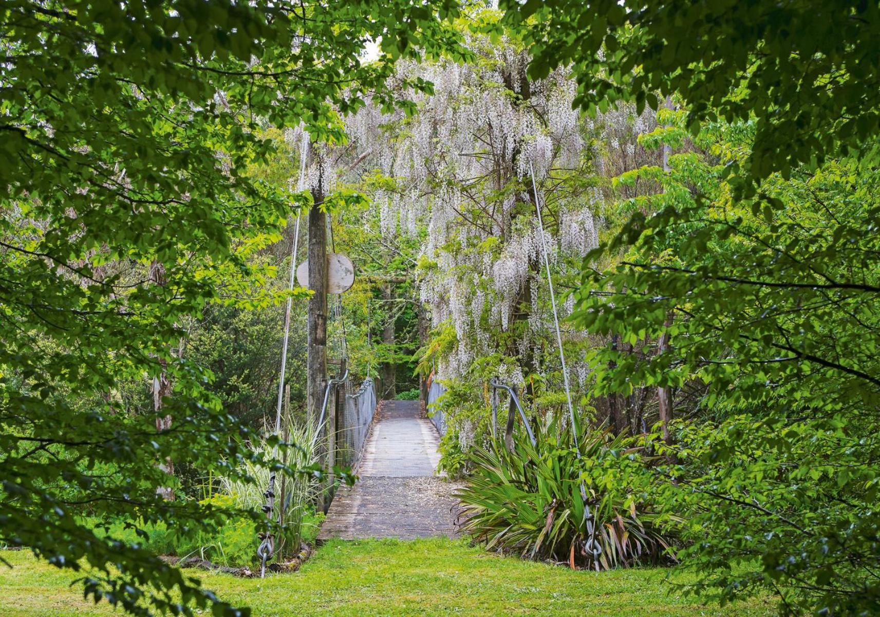 TePopo Gardens & Accommodation Stratford Buitenkant foto