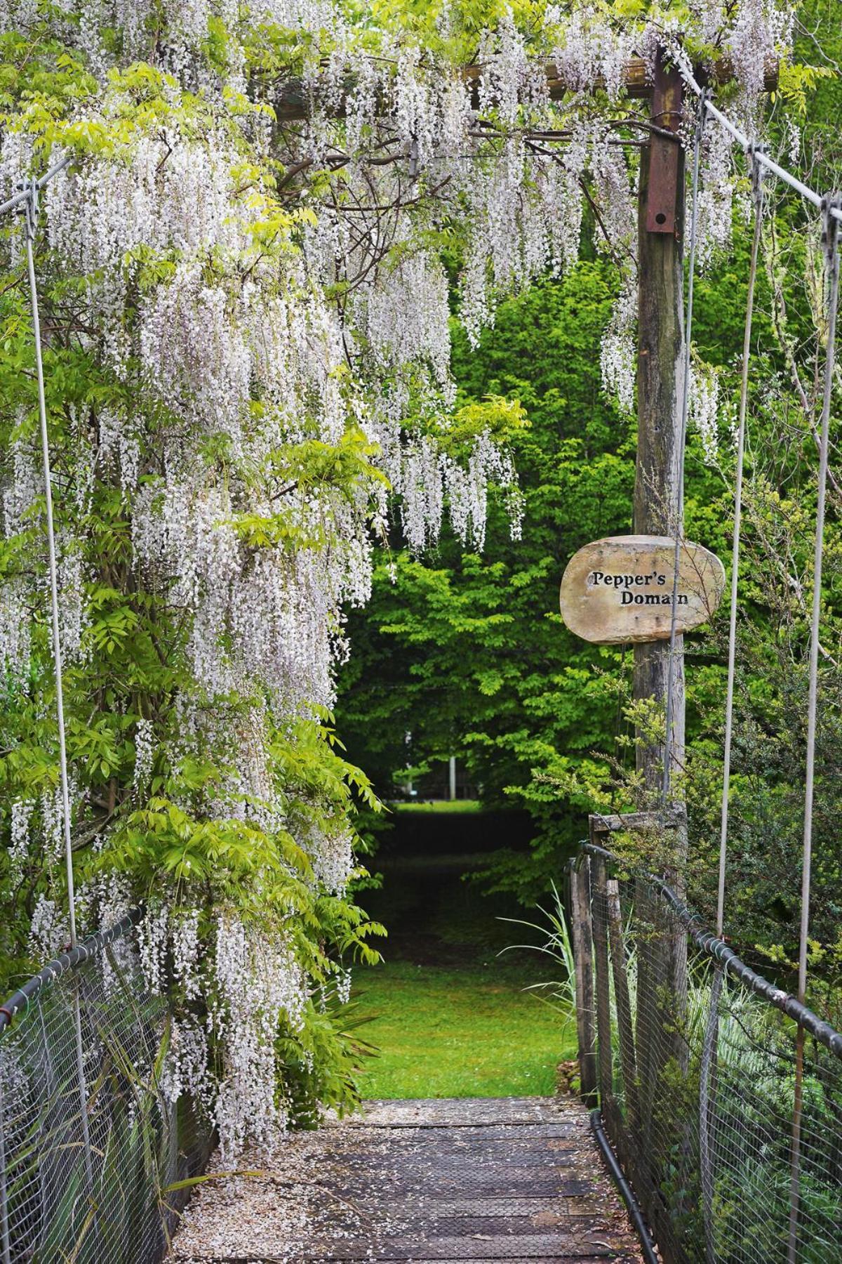 TePopo Gardens & Accommodation Stratford Buitenkant foto