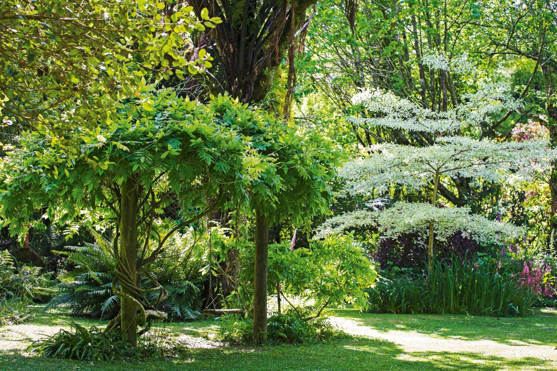 Tepopo Gardens Rural Retreat Villa Stratford Buitenkant foto