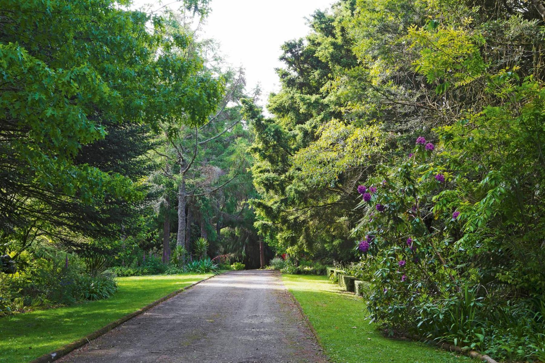 Tepopo Gardens Rural Retreat Villa Stratford Buitenkant foto
