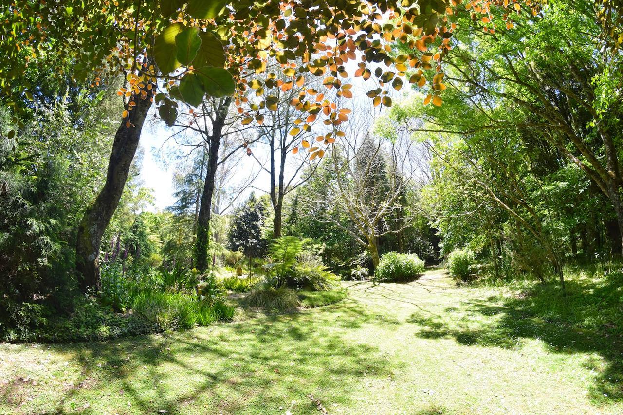 Tepopo Gardens Rural Retreat Villa Stratford Buitenkant foto
