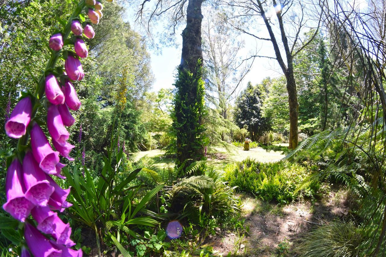 Tepopo Gardens Rural Retreat Villa Stratford Buitenkant foto